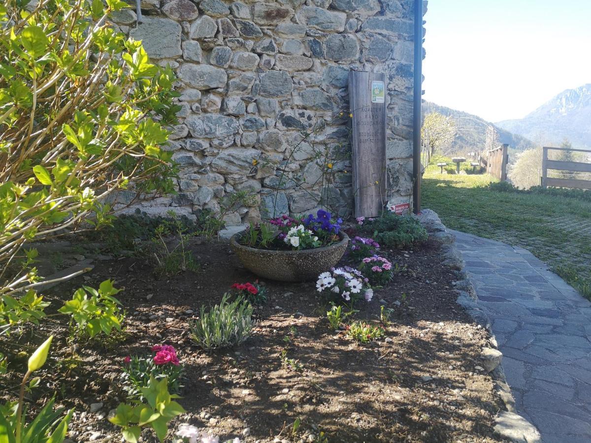 Agritur Maso Gosserhof Frassilongo Dış mekan fotoğraf