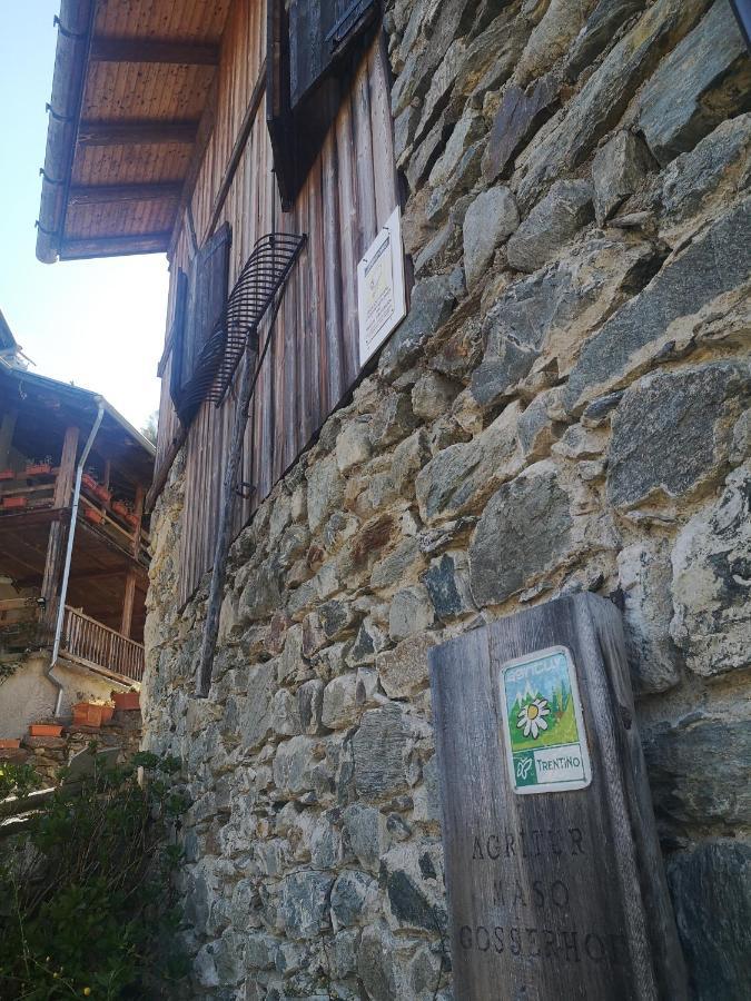 Agritur Maso Gosserhof Frassilongo Dış mekan fotoğraf